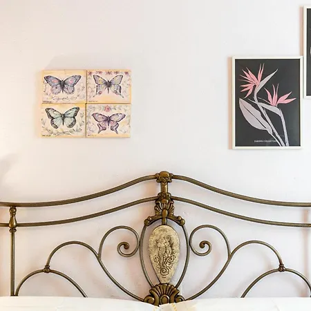 Cuaddus E Tellas * Genoni