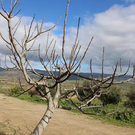 Cuaddus E Tellas Farm stay