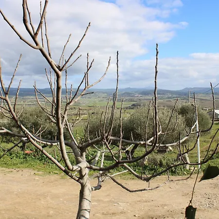 Cuaddus E Tellas Farm stay Genoni