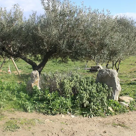Cuaddus E Tellas Farm stay